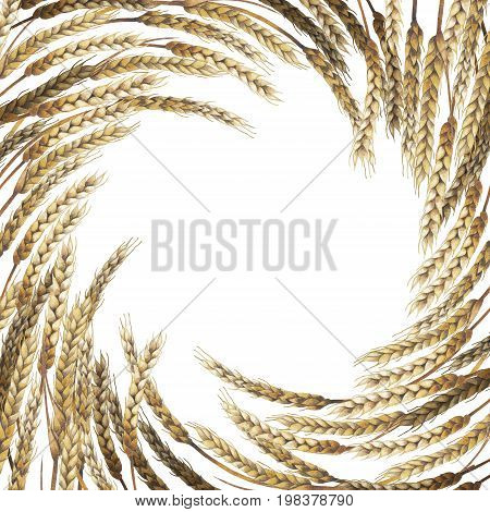 Watercolor malt circular design. Hand painted card with cereals