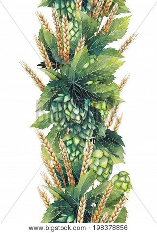 Watercolor hops and malts. Hand painted seamless border