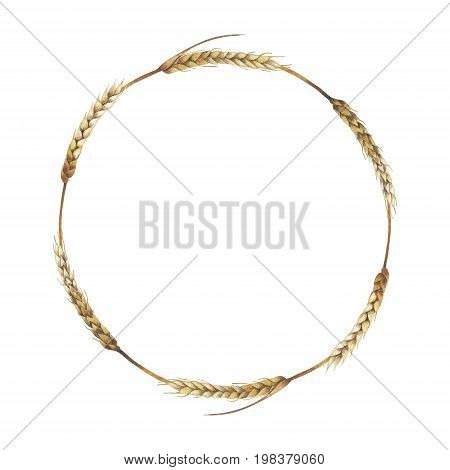 Watercolor malt wreath isolated on white background. Hand painted design with cereals