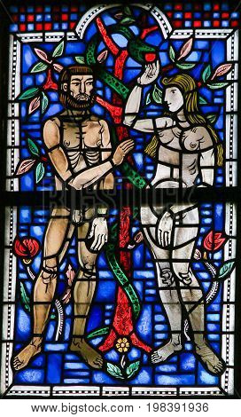 Stained Glass In Worms - Adam And Eve