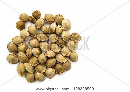 Apricot kernels on white ground, pictures of apricot kernels used in medicine and pill making,