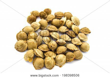 Apricot kernels on white ground, pictures of apricot kernels used in medicine and pill making,