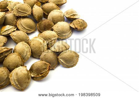 Apricot kernels on white ground, pictures of apricot kernels used in medicine and pill making,