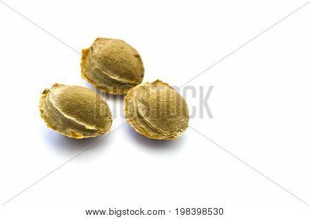 Apricot kernels on white ground, pictures of apricot kernels used in medicine and pill making,