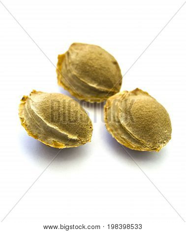 Apricot kernels on white ground, pictures of apricot kernels used in medicine and pill making,