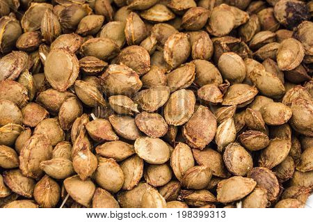 Apricot kernels on white ground, pictures of apricot kernels used in medicine and pill making,