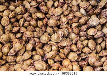 Apricot kernels on white ground, pictures of apricot kernels used in medicine and pill making,