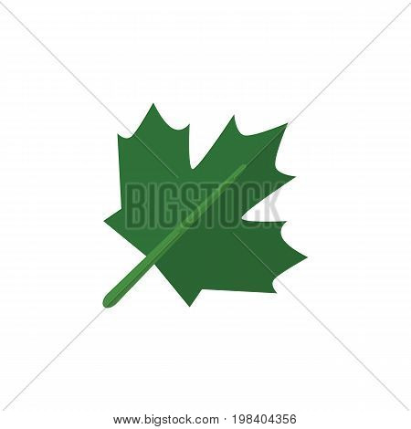 Oaken Vector Element Can Be Used For Oaken, Maple, Leaf Design Concept.  Isolated Maple Flat Icon.