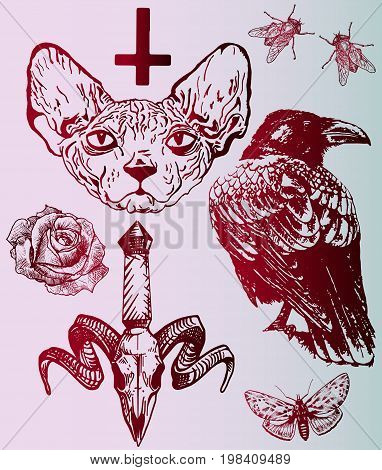 Art sketches of tattoo - gothic style - raven, sphinx, beetle, skull, butterfly, rose, fly, cross.
