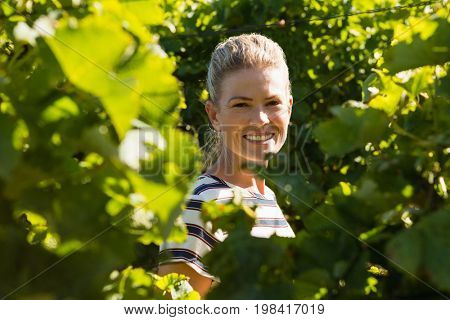 Portrait of female vintner standing in vineyard on a sunny day