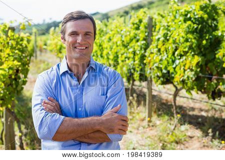 Portrait of smiling vintner standing with arms crossed in vineyard