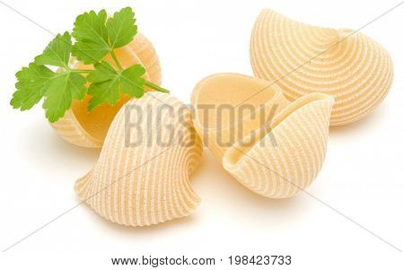 Italian lumaconi isolated on white background. Lumache, snailshell shaped pasta.