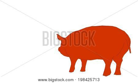 Outlined Pigl Isolated On White 3D Rendering