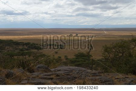 An infinite road from Serengeti to Ngorongoro crater in dry season of March
