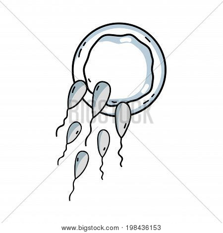 line spermatozoon reproduction fertilizing ovum vector illustration icon