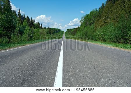 road in Russian forest.  Arhangelsk region  russia  landscape