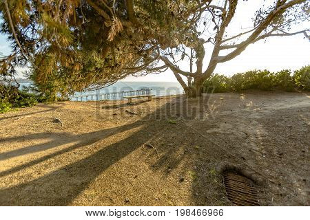 Lonely Bench At Golden Hour At The Scripps Institute