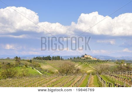Krajobraz Tuscany