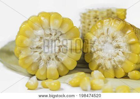 Sweet corn combs isolated on a white background. Sweetcorn closeup. Hot corn on the cob, Vegetarian, vegan food