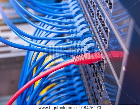 network cable connecting on network core switch,Data Center Concept.