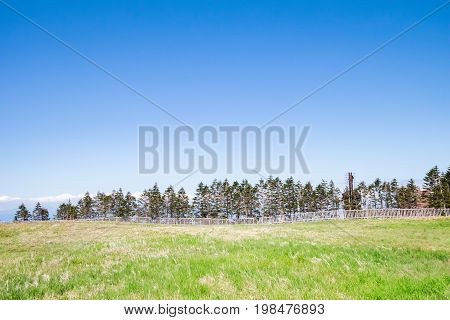 Beautiful landscape mountain and road view of Utsukushigahara is one of the most important and popular natural place in Nagano Japan.