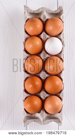 Container of ten eggs. Nine eggs brown one egg white. on white background.
