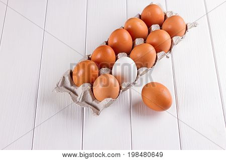Container of ten eggs. Nine eggs brown one egg white. on white background.