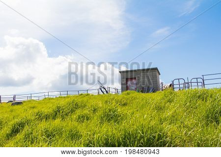 Beautiful landscape mountain view of Utsukushigahara is one of the most important and popular natural place in Nagano Japan.