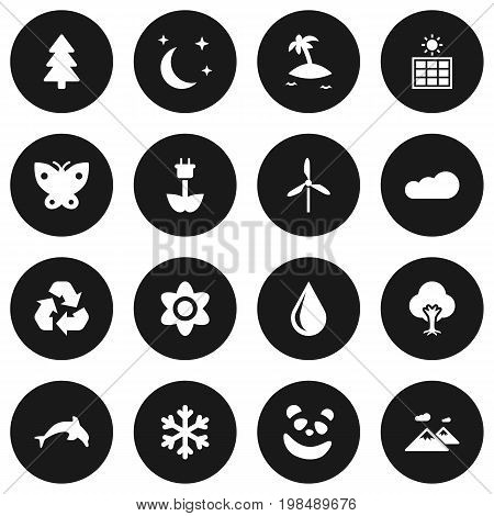 Collection Of Isle Beach, Pinnacle, Conservation And Other Elements.  Set Of 16 Nature Icons Set.