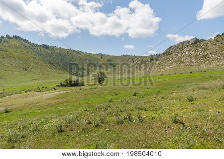 A Beautiful Summer Landscape With A Meadow With Wildgrass High In The Mountains Against The Backdrop