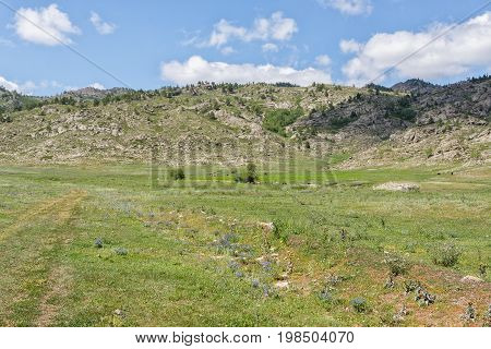 A Beautiful Summer Landscape With A Meadow With Wildgrass High In The Mountains Against The Backdrop