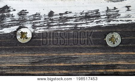 Two Screw Heads on Dirty Dark Painted Wood Surface. Macro Snapshot