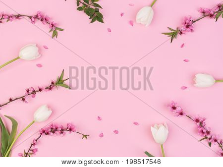 women day, congratulation, femininity concept. top view of adorable flowers, creamy white tulips, and blooming brunches of cherrytree, with free bright pink space for text
