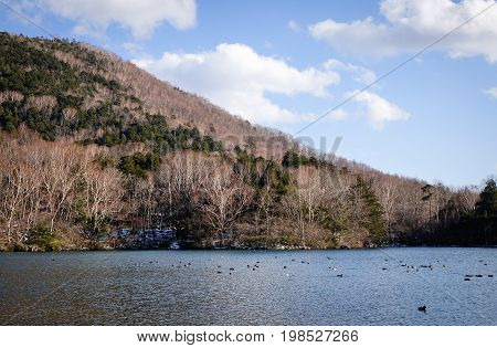 Mountain Scenery In Nikko, Japan