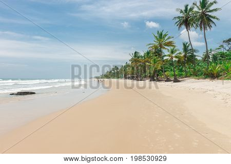 Amazing Green Nature At The Itacarezinho Beach