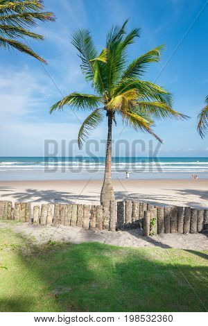 Amazing View Of The Beaches Near Itacare