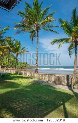 Impressive Paradise Beach At The Itacare Bahia Brazil