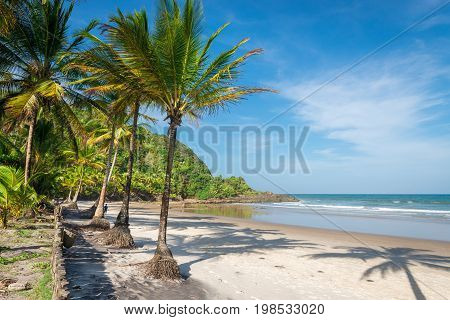 Amazing View Of The Beaches Near Itacare