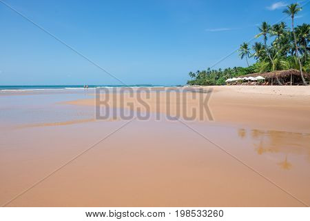 Natural Pools In Peninsula De Marau Bahia