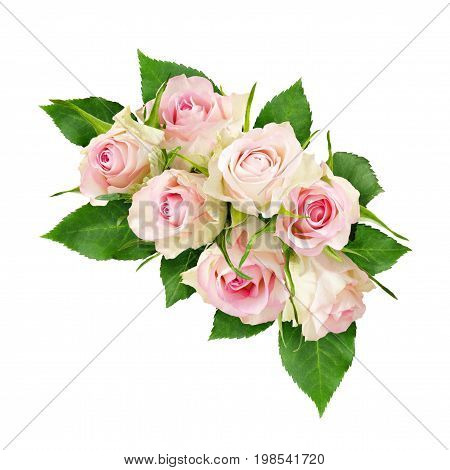 Beautiful white rose flowers arrangement isolated on white. Top view. Flat lay.