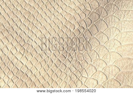 Abstract Background In Grunge Style