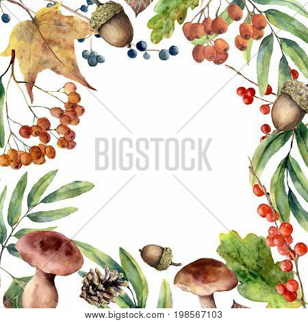 Watercolor autumn frame. Hand painted floral frame with rowan, mushrooms, berries, acorn, pine cone, fall leaves isolated on white background. Forest illustration for design. Botanical print