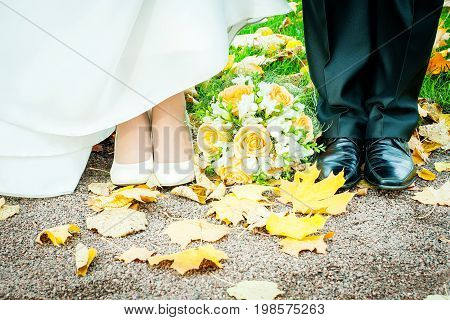 Close up of legs of woman and man standing close to each other outside in autumn park. Wedding couple having walk outdoors on their wedding day. Bride and groom stand on autumn leaves