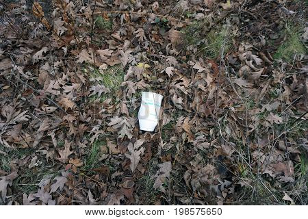 SHOREWOOD, ILLINOIS / UNITED STATES - DECEMBER 6, 2015: A discarded McDonald's beverage cup lies among fallen dried oak leaves on the forest floor in the Hammel Woods Forest Preserve.