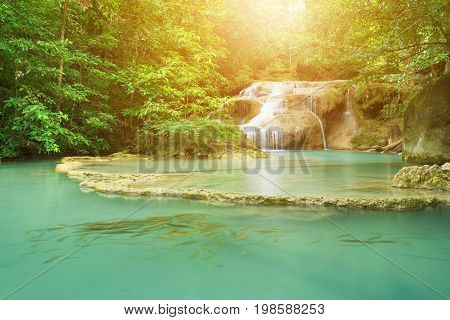Level 1 Of Erawan Waterfall With Neolissochilus Stracheyi Fish In Kanchanaburi, Thailand