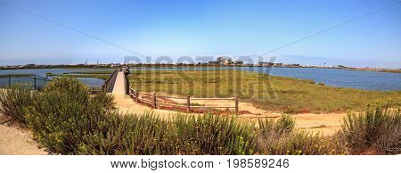 Bridge Along The Peaceful And Tranquil Marsh Of Bolsa Chica Wetlands