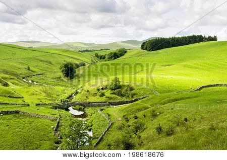 A small packhorse bridge ove a stream in Smardale, Cumbria set amongst green fields grazed by sheep.