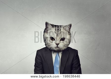 Cat in business suit. Mixed media
