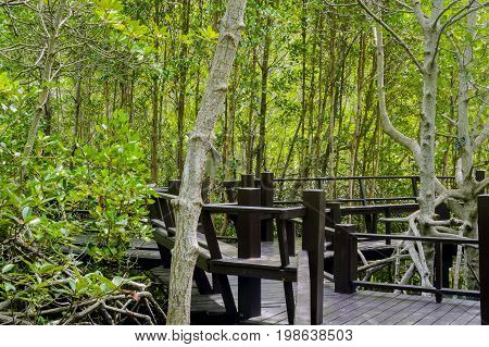 The Wooden Bridge Walkway In Mangrove Forest At Pranburi Forest National Park, Prachuap Khiri Khan,