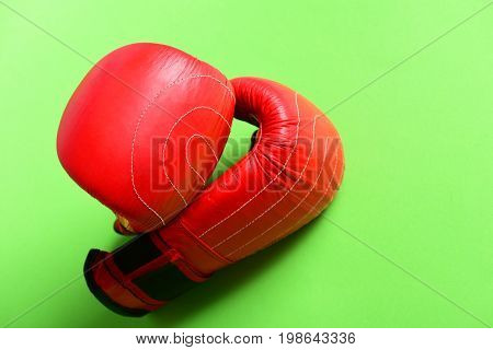 Sport Equipment Isolated On Light Green Background. Professional Box